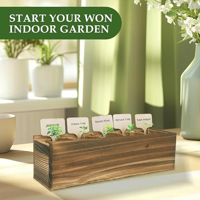 5 DIY Bonsai Tree Kit for Beginners, Complete Indoor Gardening Starter Kit with Seeds, Soils, Pots & Tools, Unique Birthday Gifts Ideas for Women, Men