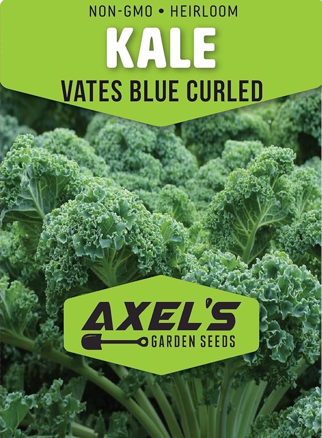 Curled Blue Kale Seeds for Planting – Plant & Grow Heirloom Non-GMO Curled Blue Vates Kale Home Outdoor Vegetable Garden, Brassica oleracea VAR. acephalla – 5 Packets