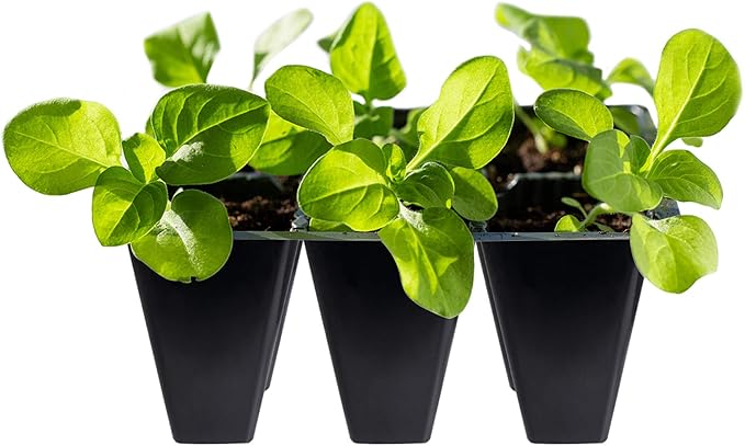 Gardzen 120 Pack 6-Cell Seed Starting Tray for Seedlings, Plant Starter Trays with Drainage Holes for Seed Germination, 5.4x3.7 inches, Black