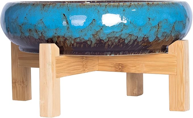 Succulent Pots - Large Succulent Planters Pots with Drainage, 10 Inch Ceramic Bonsai Pot with Stand Round Shallow Planter for Indoor/Outdoor Plants Decorative Garden Cactus Flower Container Bowl