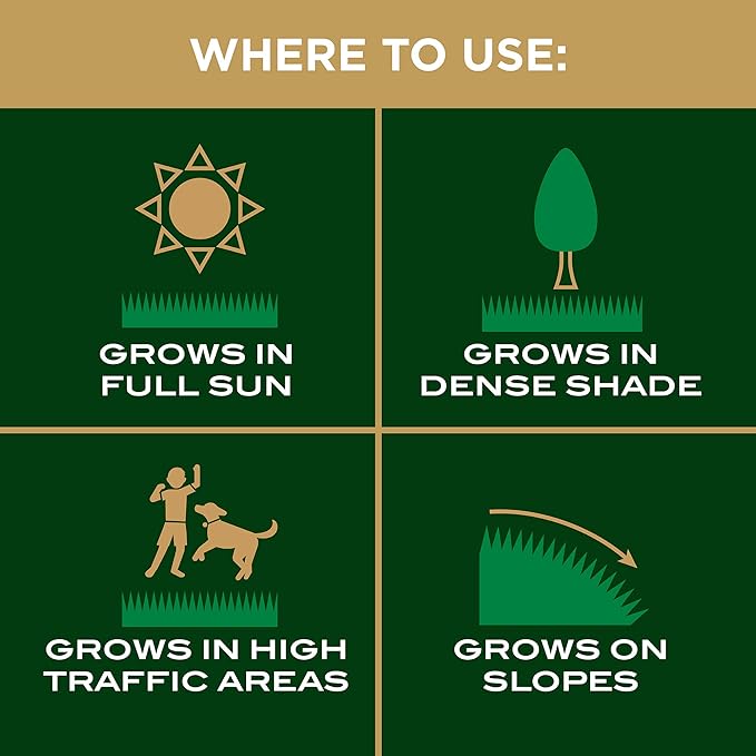 Scotts EZ Seed Patch & Repair for Sun and Shade Combination Mulch, Sun and Shade Grass Seed and Fertilizer for Bare Spots and Repair, Grows Anywhere, 10 lbs.