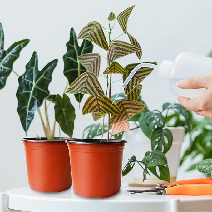 100 Pcs Plant Nursery Pots,6 Inch Thicker Plastic Seedling Pots with Holes,Seed Starting Pot Flower Plant Container for Succulents,Seedlings,Cuttings,Transplanting