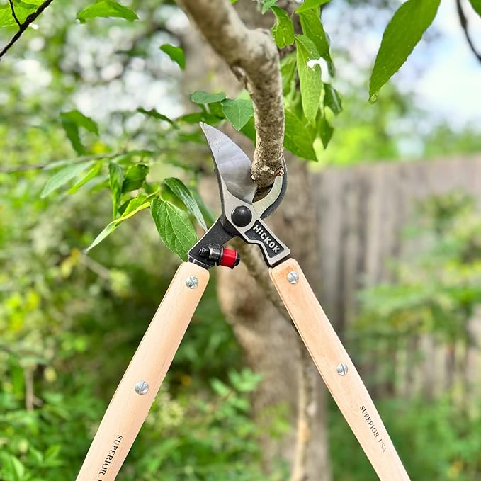 Heavy Duty Tree Lopper – 30" Long Reach Tree Branch Cutter with Hickory Wood Handles | Professional Arborist Pruning Tool Made in USA