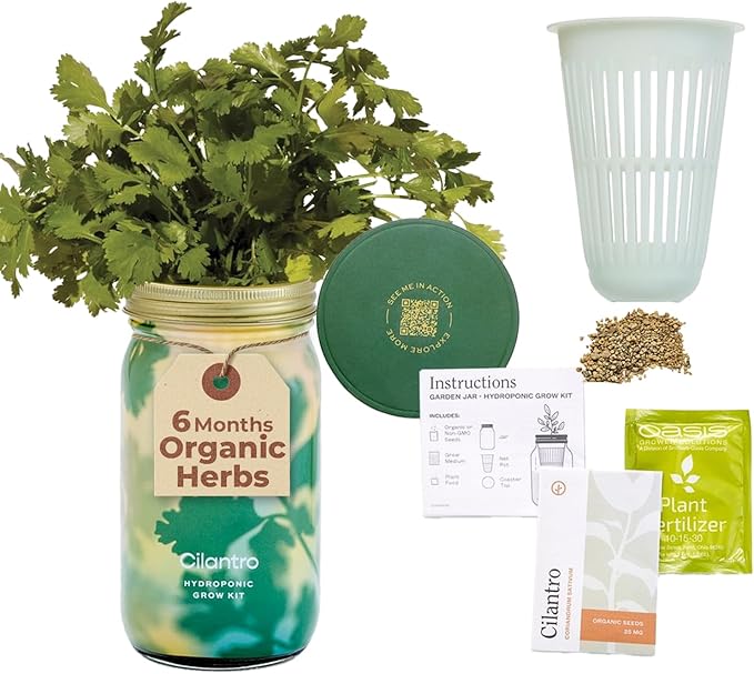 Modern Sprout Mason Garden Jar - Self-Watering Hydroponics Growing System Kit with Organic Herb Seeds - Jar Planter for Indoor Herb Garden - Seed Starter Kit - Home Decor & Gifting - Cilantro