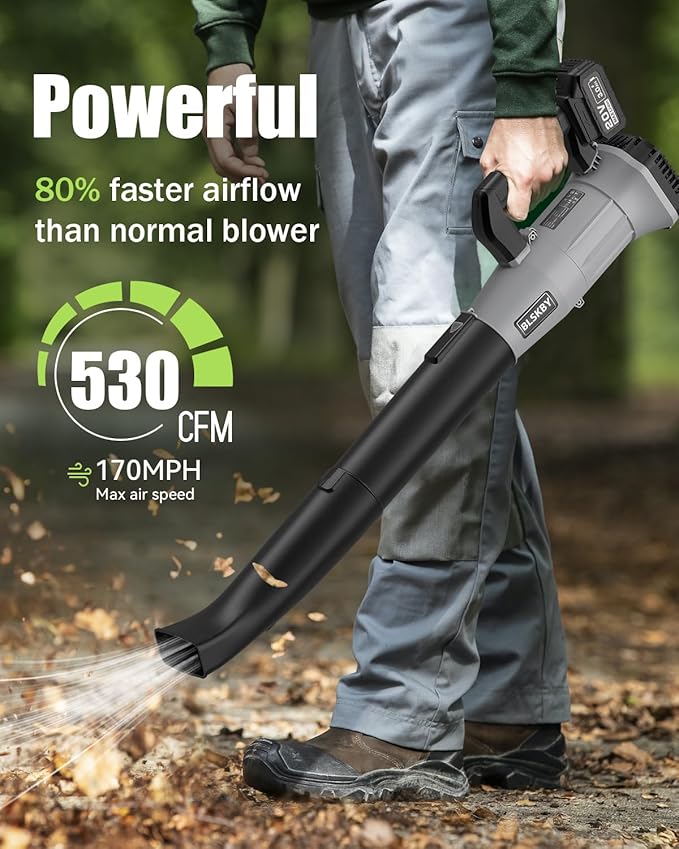 Electric Leaf Blower Cordless 530CFM - 2 X 3Ah Batteries and Fast Charger, 20V Lightweight Handheld Battery Leaf Blower with 7-Speed Control, 2 Extended Tubes for Yard, Lawn & Garden