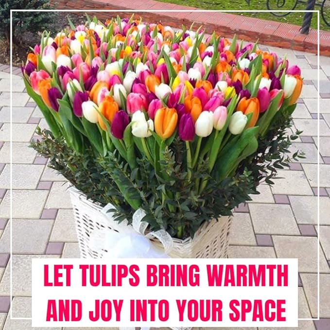 10 Tulip Bulbs for Fall Planting Bulk, Tulip Bulb, Perennial Flower Bulbs for Garden Growing, Tulip Bulbs Bulk (Mix)