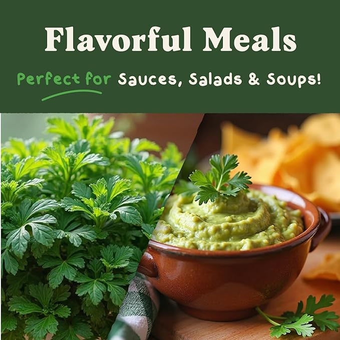 Seedboy Organic Parsley Seeds for Planting Indoor and Outdoor, Non-GMO and USDA Certified Herb Seed Packet for Hydroponic Garden Indoor or Planting Outdoors (Italian Parsley)