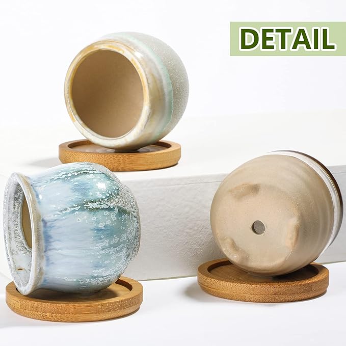 Remerry 24 Pcs Small Succulent Pots Bulk with Drainage Assorted 2.5 Inch Mini Ceramic Succulent Planters Pot with Coaster Bamboo Plant Tray Planting Pots for Home Office Garden (Rich Color)