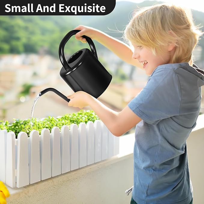 Watering Can, Stainless Steel Watering Can for Indoor & Outdoor Plants, 1L/35oz Long Spout Water Can with Handle, Rust-Proof Plant Watering Pot for House Plants, Garden Flowers