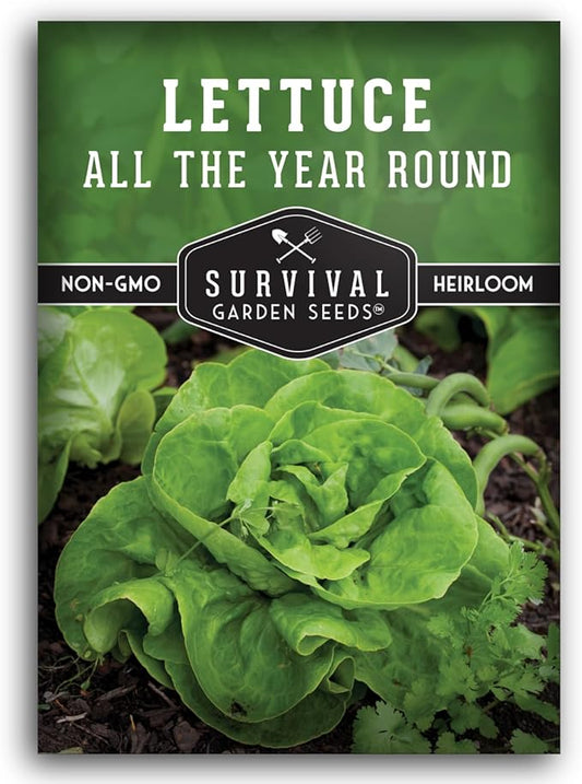 All The Year Round Lettuce Seed for Planting - 1 Packet with Instructions to Plant & Grow Adaptable Salad Greens in Your Home Vegetable Garden - Non-GMO Heirloom Variety - Survival Garden Seeds
