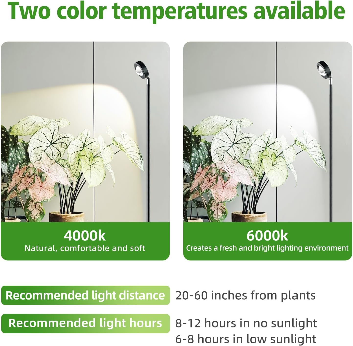 20W Full Spectrum Grow Light, 3000LM High-CRI COB LED Floor Lamp with 6/8/12H Timer, Adjustable Height (28"-83") & Angle, Grow Lights for Indoor Plants, Succulents & Flowers (warm white 4000K)