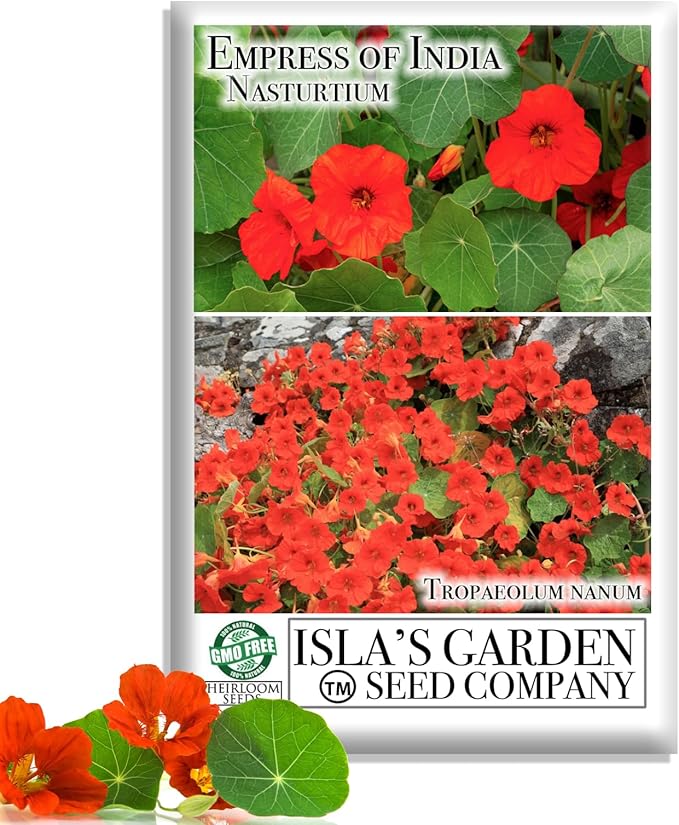 Empress of India Nasturtium Seeds (Tropaeolum nanum) โ 50+ Heirloom Non-GMO Seeds by Islaโs Garden Seeds, Deep Crimson Blooms & Dark Green Foliage, Edible Flowers, Perfect for Gardens & Containers