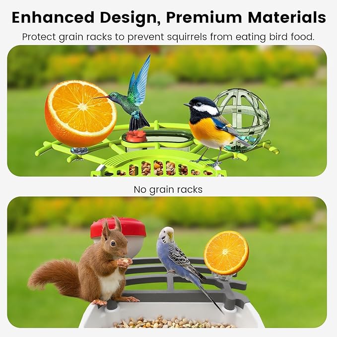 Smart Bird Feeder with Camera, AI Identify Birds Species Solar Powered, 2K HD Video Bird House with Camera, Instant Arrival Alerts, Waterproof Squirrel Proof, Gift for BirdLovers, 2.4GHz WiFi, Green