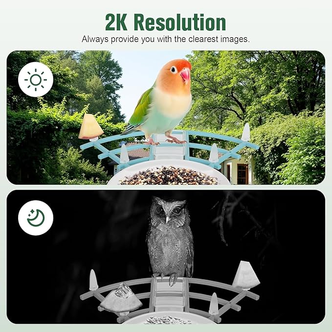 Bird Feeder with Camera, AI Identify Birds Species Solar Powered, Auto Record Videos in Backyard, Instant Notifications, Ideal Gift for Family and Bird Lovers
