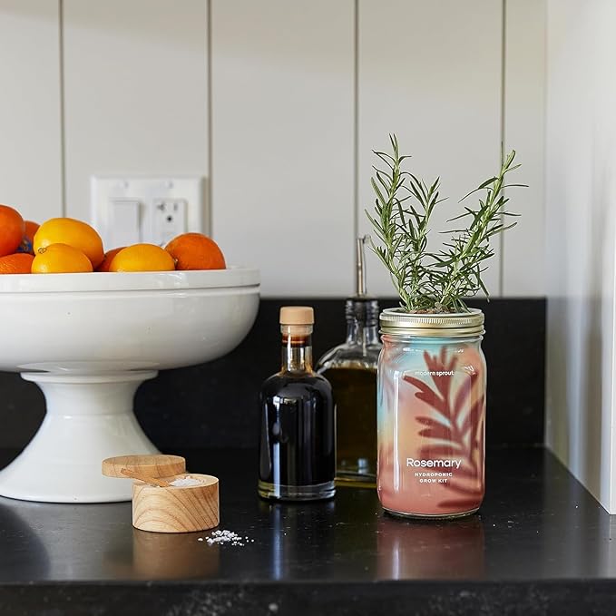 Modern Sprout Mason Garden Jar - Self-Watering Hydroponics Growing System Kit with Organic Herb Seeds - Jar Planter for Indoor Herb Garden - Seed Starter Kit - Home Decor & Gifting - Lavender+Rosemary