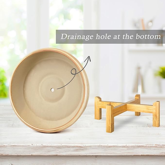 ARTKETTY Succulent Pots - 10 Inch Large Bonsai Pots with Drainage Stand, Ceramic Plant Pots Shallow Succulent Planters for Indoor Plants Decorative Cactus Flower Planter Bowl