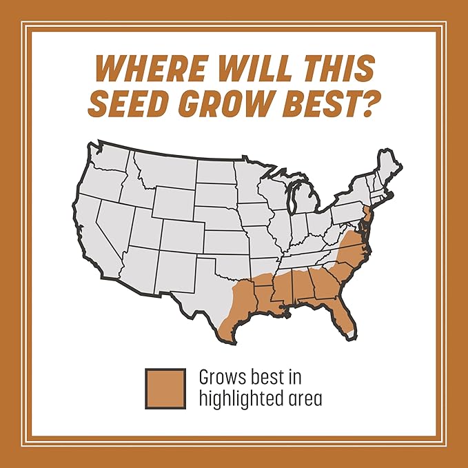 Pennington 100532365 Centipede Grass Seed & Mulch 5 LB, Black Label