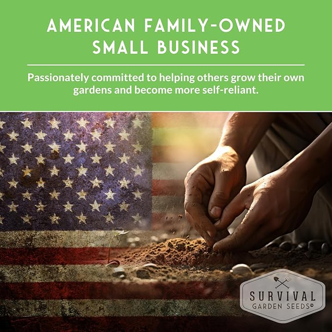 10 Flower Seed Collection for Planting | Zinnia, Sunflower, Marigold, Snapdragon, Nasturtium, Morning Glory, Chamomile, Shasta Daisy, Purple Coneflower, Four O’Clock - Survival Garden Seeds