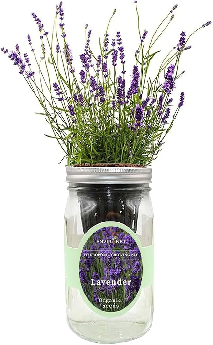 Hydroponic Herb Growing Kit, Self-Watering Mason Jar Herb Garden Starter Kit Indoor, Windowsill Herbs Garden, Grow Your Own Herbs from Organic Seeds (Lavender)