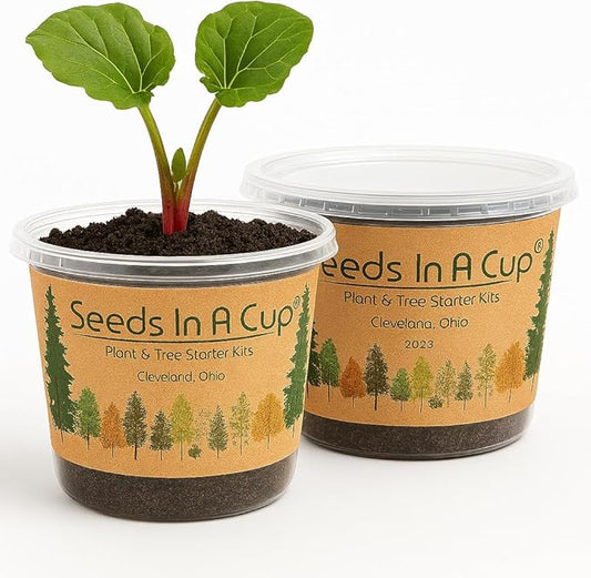Seeds In A Cup® Plant Grow Kit – 60+ Varieties of Vegetables, Herbs & Flowers | Indoor & Outdoor Seed Starter for Kids & Adults | Grow Your Own Garden | Gardening Gift (Bachelor Buttons)