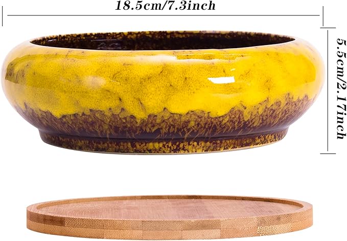 ARTKETTY Succulent Pots - 7.3 Inch Large Succulent Planters with Drainage Ceramic Bonsai Pots with Bamboo Tray, Shallow Planters for Indoor Cactus Plants Decorative Flower Plant Container