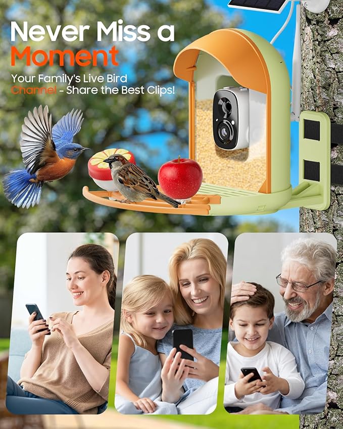 Camii Bird Feeder with Camera, Smart Birdfeeder with AI Identify Birds Species, 2K HD, Solar Powered, Night Vision, Real-Time Alert, IP66 Waterproof for Backyard Bird Watching Enthusiasts (Green)