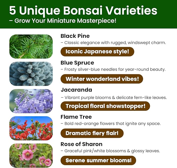 5 Pack Bonsai Tree Kit - Unique Gardening Gift Set for Plant Lovers | Complete Japanese Bonsai Starter Kit with Seeds, Tools & Planters | Ideal Christmas, Birthday Gifts for Women & Men
