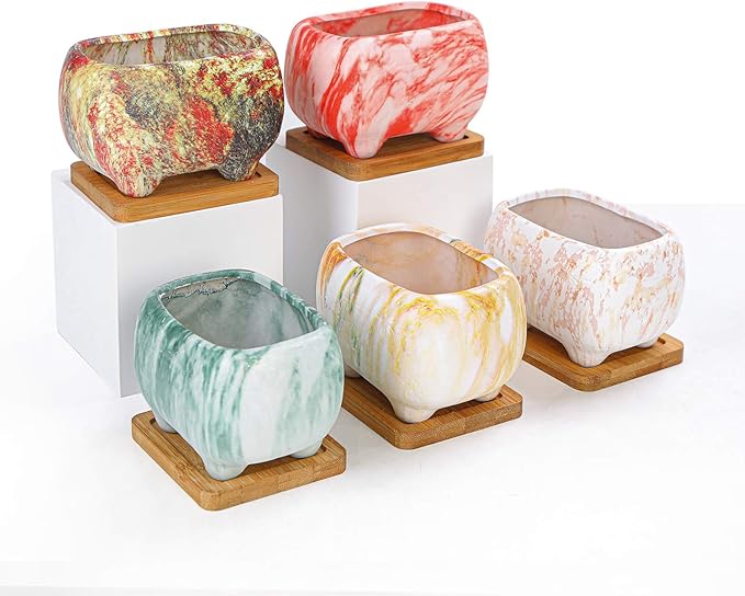 ARTKETTY Succulent Planters, 4.7" Small Succulent Pots with Drainage Rectangular Cactus Planter with Bamboo Trays Ceramic Pots for Indoor Flower Plants Set of 5