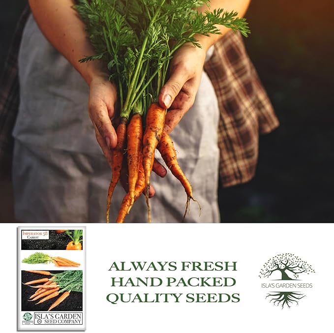 Imperator 58 Carrot Seeds (Daucus carota) โ 500+ Non-GMO & Heirloom Seeds, Long and Sweet Carrots for Juicing, Fresh Eating, and Cooking, by Islaโs Garden Seeds, Great Gardening Gift