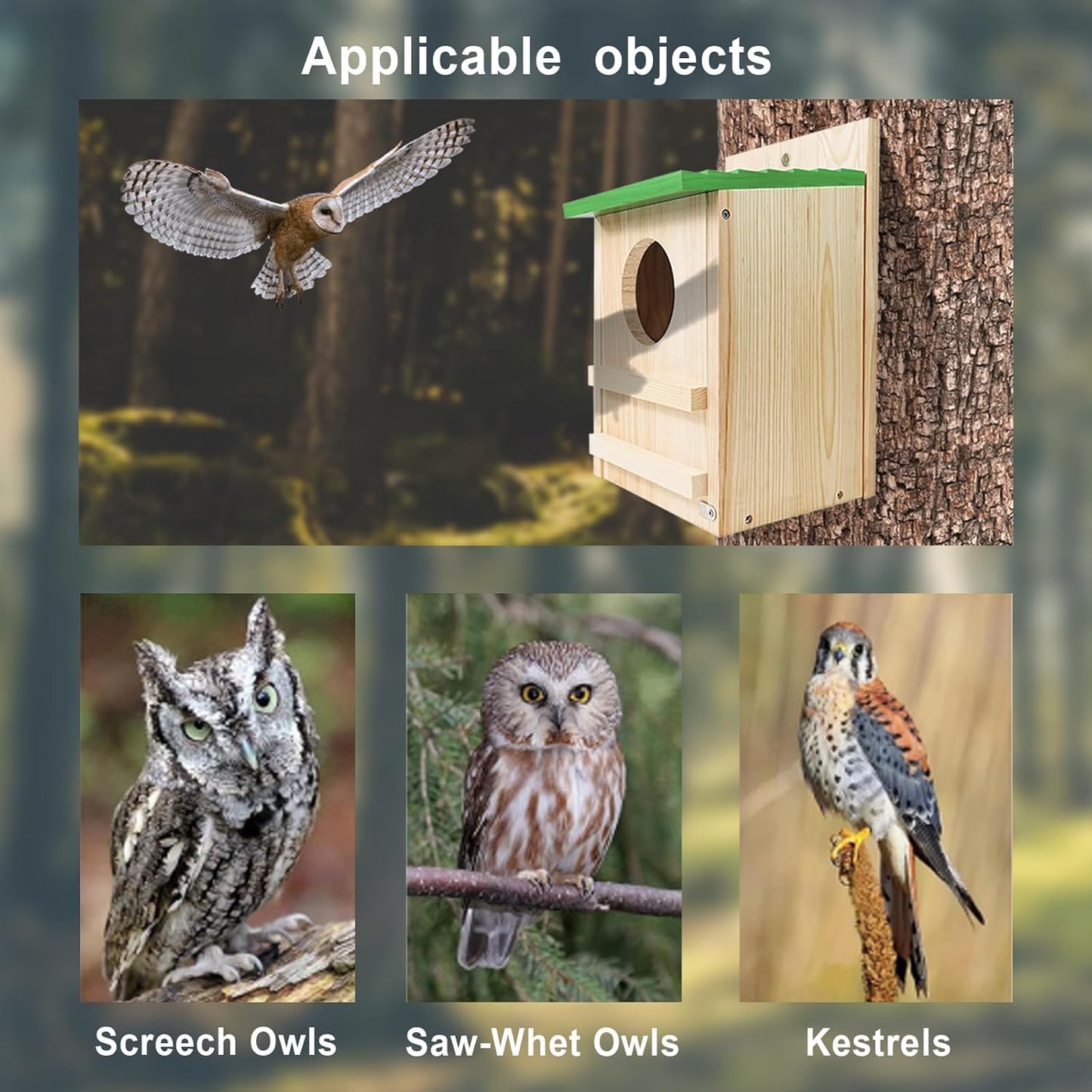 Screech Owl House, Owl Bird Box Large Handmade Wooden Circular Opening Screech Box for Outside with Mounting Screws and A Bag of Wood Shavings, Easy Assembly Required (Green, 9''x14.5XX)
