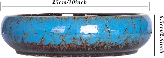 Succulent Pots - Large Succulent Planters Pots with Drainage, 10 Inch Ceramic Bonsai Pot with Stand Round Shallow Planter for Indoor/Outdoor Plants Decorative Garden Cactus Flower Container Bowl