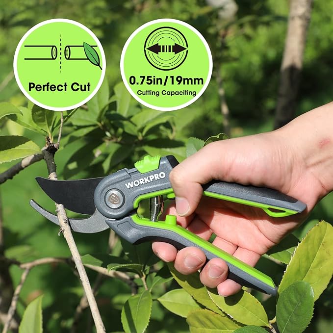WORKPRO Bypass Pruning Shears, 8’’ Stainless Steel Gardening Hand Pruner, Professional Garden Trimming Scissors with Sharp SK5 Steel Blades, Ideal Garden Tool,Green