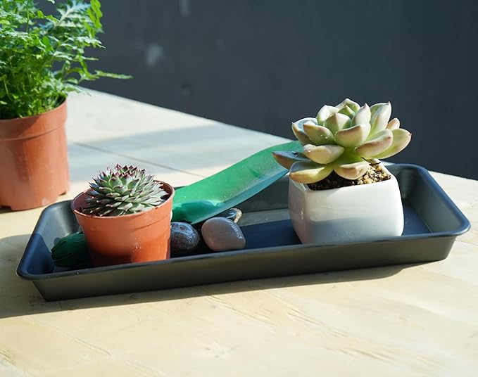 2 Pack Plastic Plant Tray Saucer, Rectangular, Indoors Outdoor, Water Drip Tray for Flower Pot Planter, Windowsill (6.5 X 13 Inch, Black)
