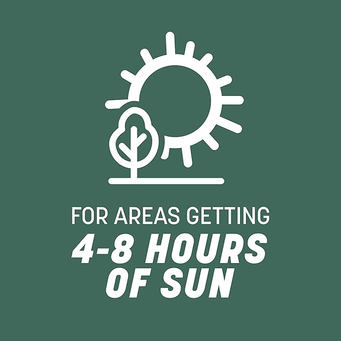 Pennington Kentucky 31 Tall Fescue Penkoted Grass Seed 7 lb