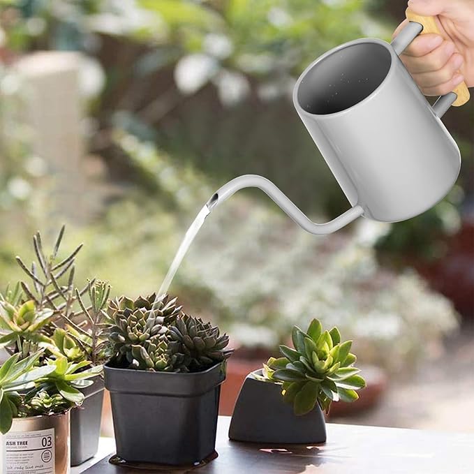 Watering Can Indoor Plants, 35 oz/1000 ml Metal Stainless Steel Watering Can Pot with Long Spout for Indoor House Plants Bonsai Outdoor Garden Flower Decorative (Gray)