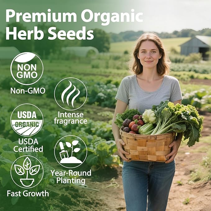 5 Herb Garden Planter Indoor with Wooden Box, Home Kitchen Seed Starter Kit Including Dill, Cilantro, Oregano, Sage, Chives, Birthday, Mothers Day, House Warming, Gardening Gifts for Women, Mom