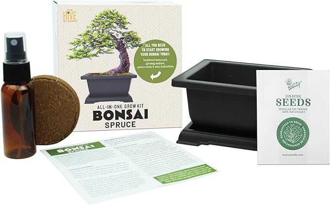 BUZZY Seeds Bonsai Starter Kit, Norway Spruce, Complete Indoor Gardening Gift, DIY Mini Tree Project, Soothing Indoor Hobby for Home or Office, Fun Stocking Stuffer, Housewarming Present