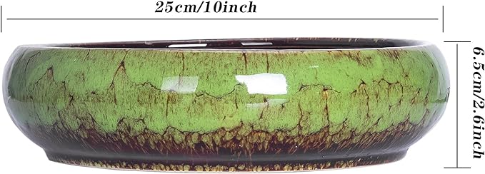 ARTKETTY Succulent Pot, 10 Inch Large Succulent Planter Pot with Stand, Ceramic Bonsai Pot with Mess Drainage Screen Shallow Cactus Flower Pot for Indoor/Outdoor Plants