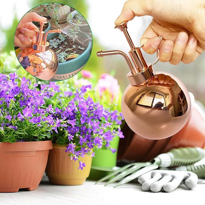 Stainless Steel Plant Sprayer, Small Watering Can Plant Misting Bottle, Modern Gardening Tools for Indoor Potted Plants Watering and Misting