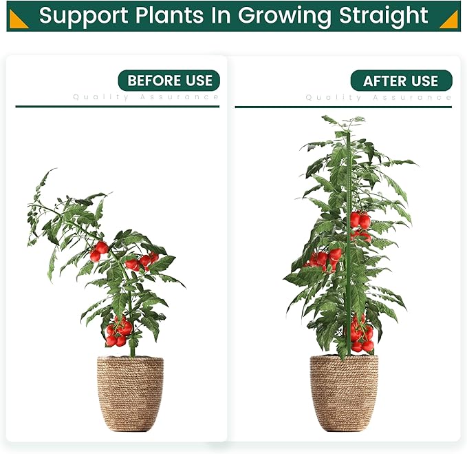 36 Inch 3 Ft Plant Support Garden Stakes 25 PCS, Sturdy Steel Plastic Coated Sticks for Outdoor Growing Climbing, Tomato, Trees, Cucumber, Beans