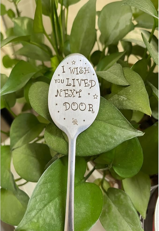 Garden Friendship Gift for Women Gardeners, Plant Marker Stake Label Sign Tag, Gardening Gifts for Woman Lovers, Metal Garden Decoration (Live Next Door)