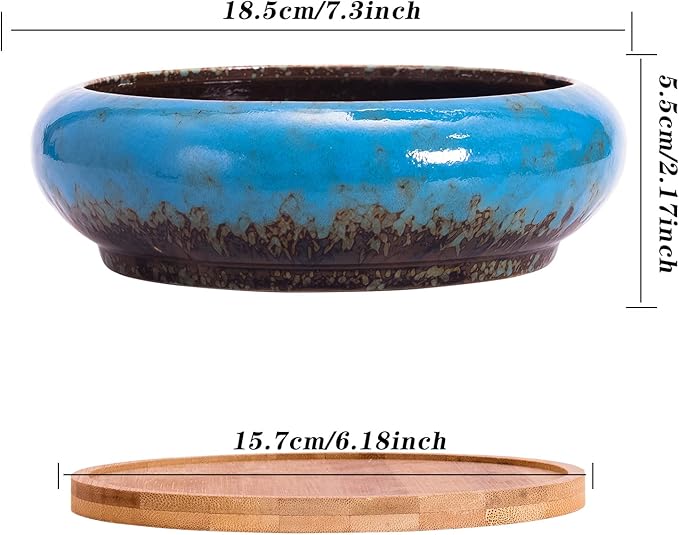 ARTKETTY Succulent Pots - Large Succulent Planters with Drainage, 7.3 Inch Ceramic Bonsai Pots with Bamboo Tray Set of 2, Shallow Cactus Flower Planter Bowl for Indoor