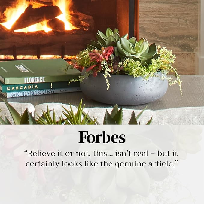 CG Hunter Faux Succulent Arrangement, Premium Artificial Indoor Plant Enhances Interior Design, Display on Any Surface in Your Home Adding an Inviting Touch of Nature, Grey Planter Pot Included