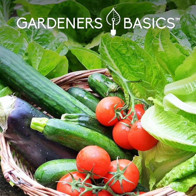 Gardeners Basics Seed Safe Kit โ 35 Easy-to-Grow Heirloom Vegetable Seeds for Beginners โ Non-GMO Garden Starter Set with 17,000+ Seeds โ Perfect Gardening Gift for New Gardeners or Families