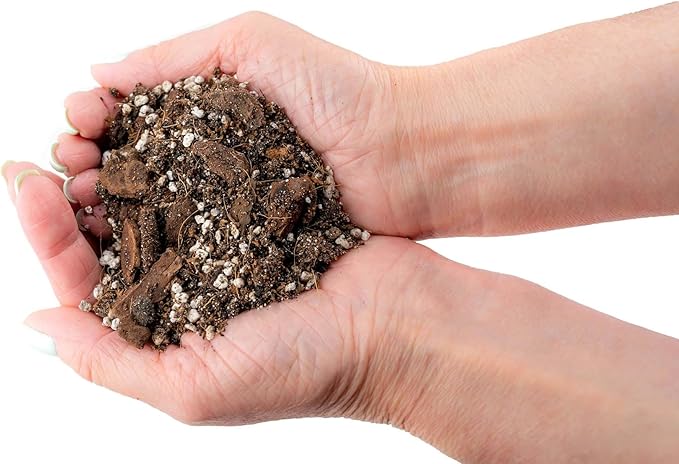 Gardenera Fiddle Leaf Fig House Plant Soil Premium All Purpose Blend - Peat Moss, New Zealand Bark, Coco Chips and Fibers, Perlite - 5 Quart Bag