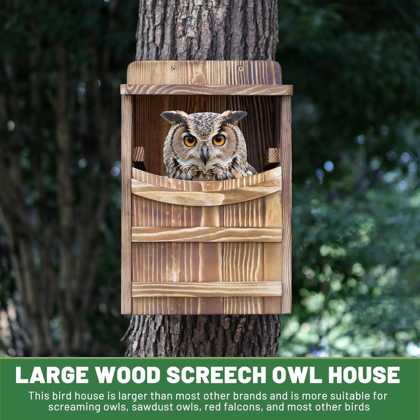 Premium Cedar Owl House Outdoor - Handcrafted Large owl Nesting Box, Birdhouse kit, Perfect for barn Owls, Screeching Owls and Backyard Birds (14.5 "x 9" x 8.6 ")