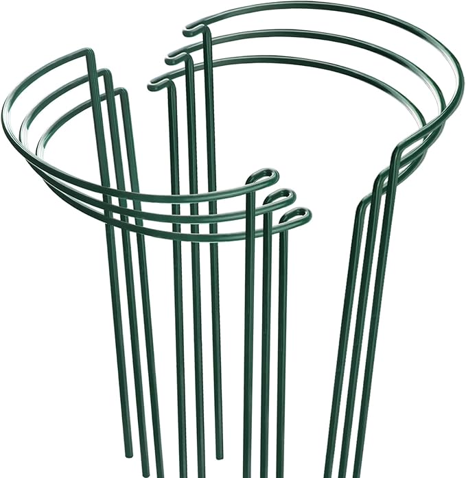 HiGift Plant Support Stakes, 6 Pack Metal Peony Cages and Supports, Garden Stakes Plant Support Cage, Large Plant Support Ring for Outdoor Indoor Snake Plant Peony Rose Flowers Vine (10" W x 15.8" H)