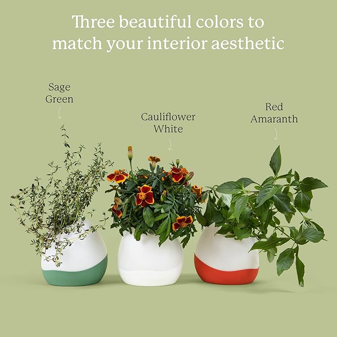 Gardyn Vase Complete Kit - Sage Green | Designed for use with Gardyn Hydroponics Growing System Kits & Vertical Garden Hydroponic Gardens | Bring Gardyn’s Indoor Plants to All Areas of Your Home