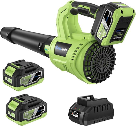 Leaf Blower Cordless - 650 CFM 150 MPH Electric Leaf Blower with 2 x 4.0Ah Batteries & Fast Charger, 2-Speed Settings, Lightweight Blower for Lawn, Yard, Leaves, Dust, and Snow Care (Green)