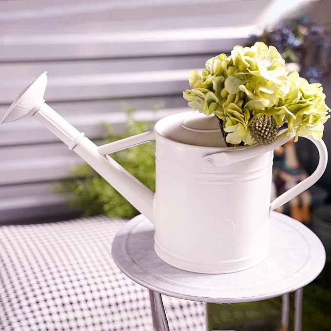 1 Gallon Metal Watering Can for Indoor Plants Outdoor Plants, Large Water Can, Garden Water Can for Kids, Detachable, Water Can with Handle, White